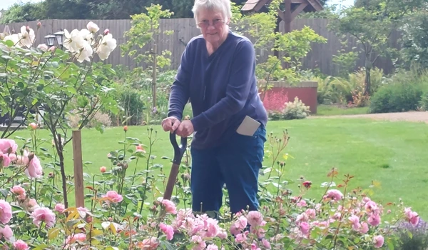 Sally Haylock Tends To Her Rose Bushes At Westall House