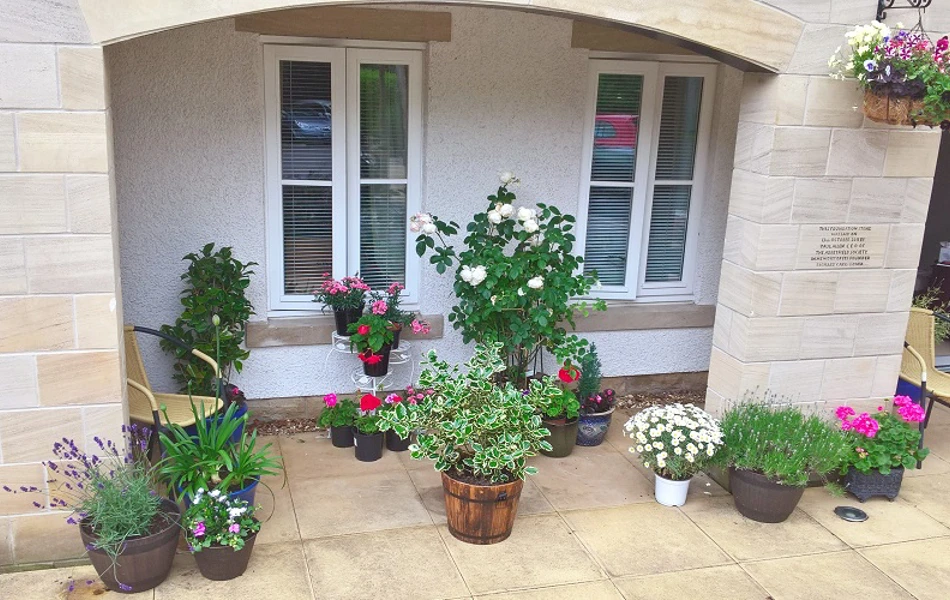 Plant Pots At Abbeyfield Woodlands Skipton Doorstep Challenge