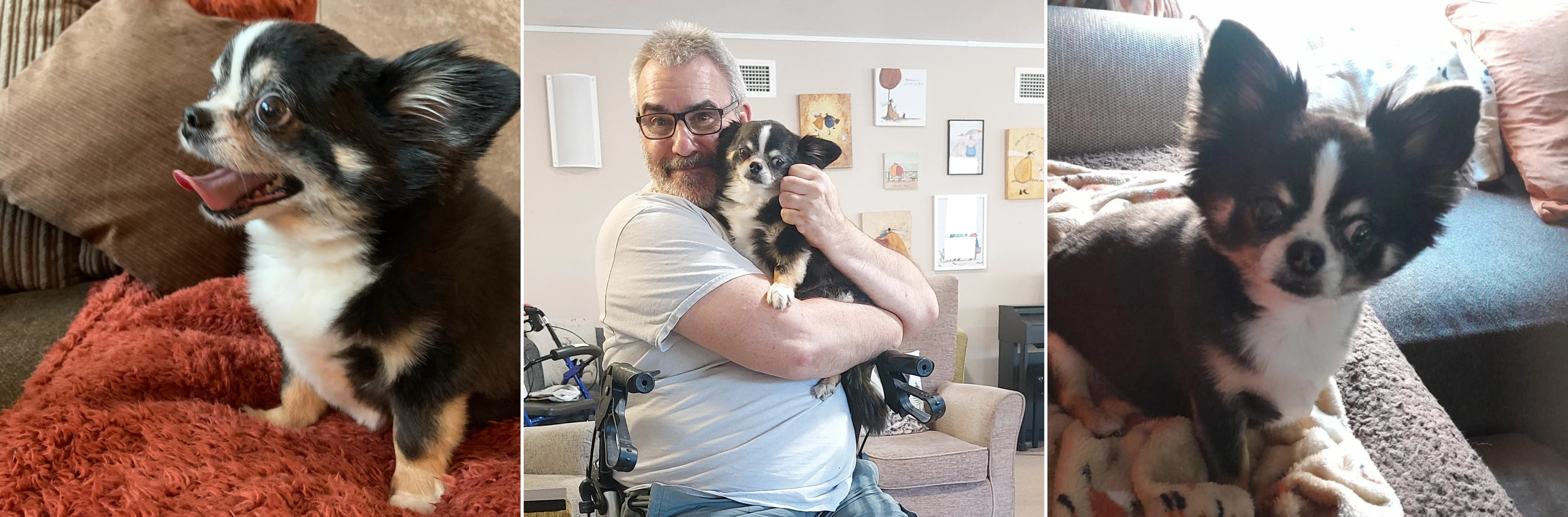 Boo, a residents pet at Hampton House