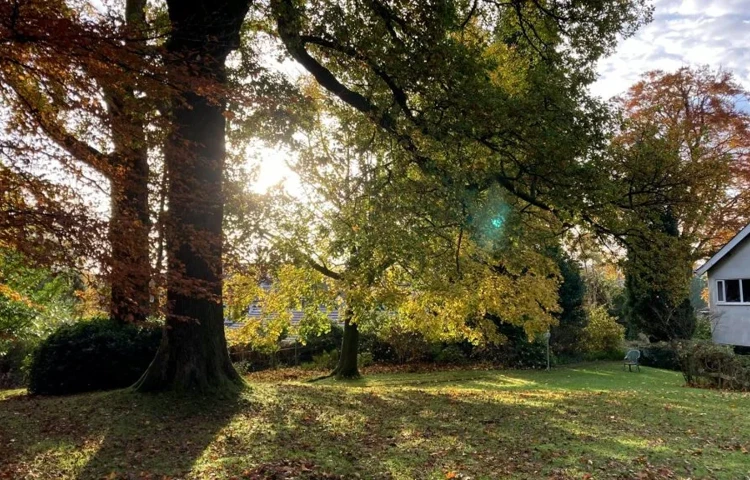 Beautiful Countryside grounds at Abbeyfield Nine Oaks in Windermere, LA23 1BB