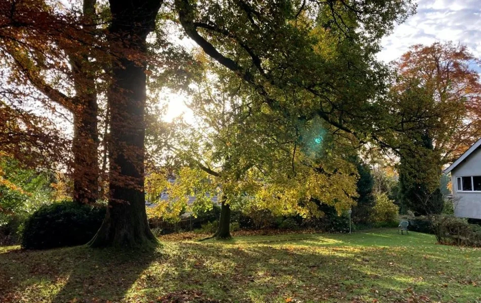 Beautiful Countryside grounds at Abbeyfield Nine Oaks in Windermere, LA23 1BB