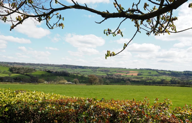 View over Blackdown Hills, from Hill House, Honiton