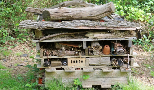 Bug Hotel