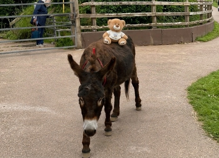 Abbey Riding A Donkey