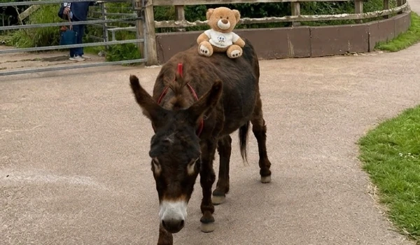 Abbey Riding A Donkey