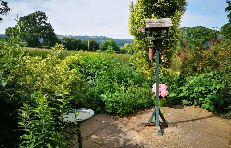A garden haven for wildlife and birds at Hill House