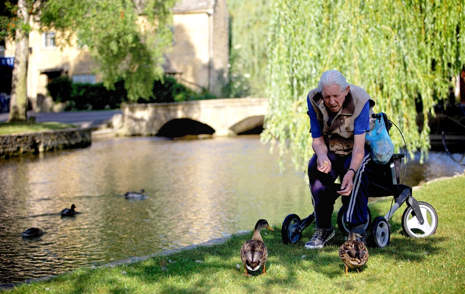 Feeding the ducks