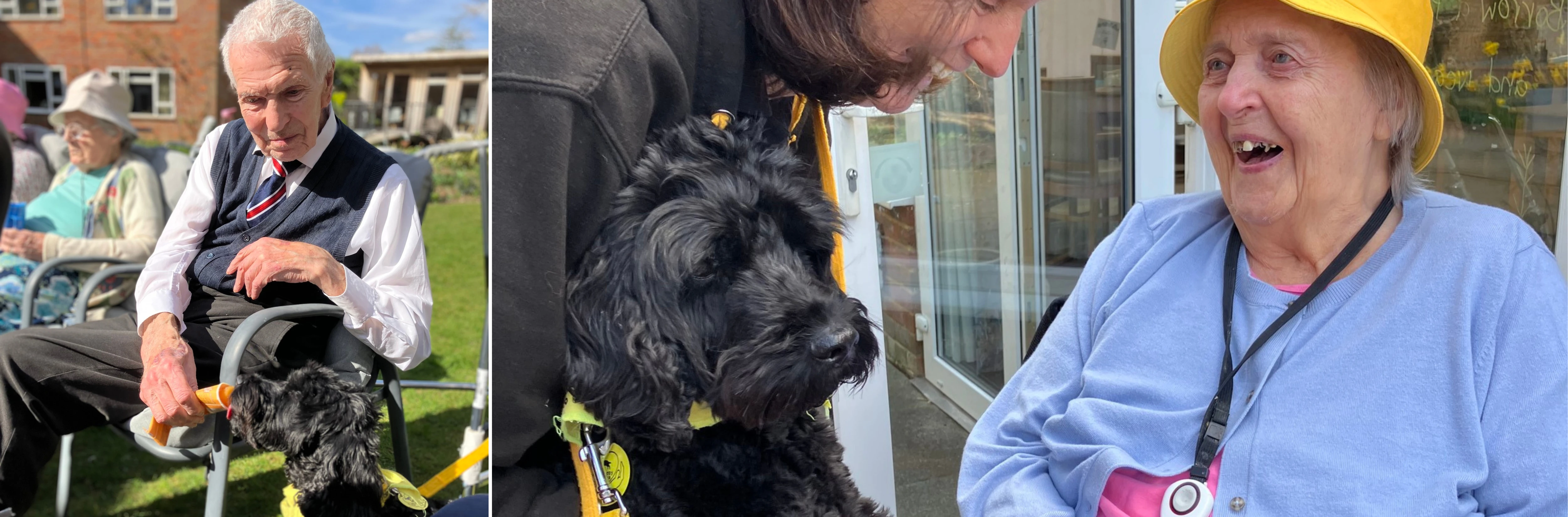 Marley, therapy dog at Pratt House