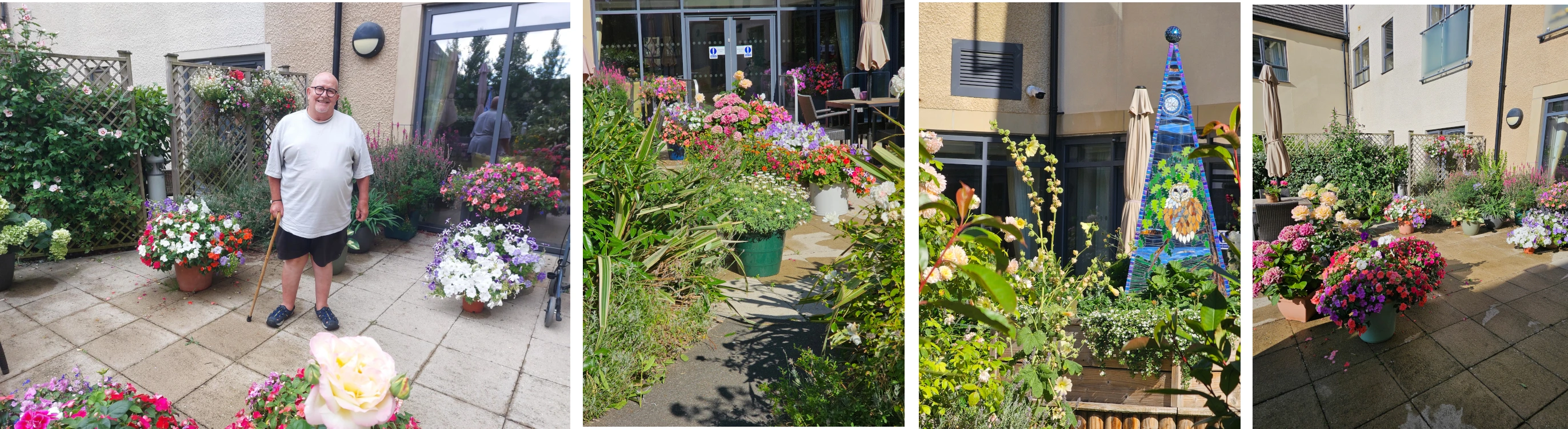 Collage of photos of Steve and the garden at Burnham Court