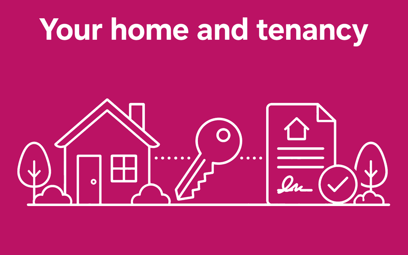 STAIRS Your home and tenancy graphic