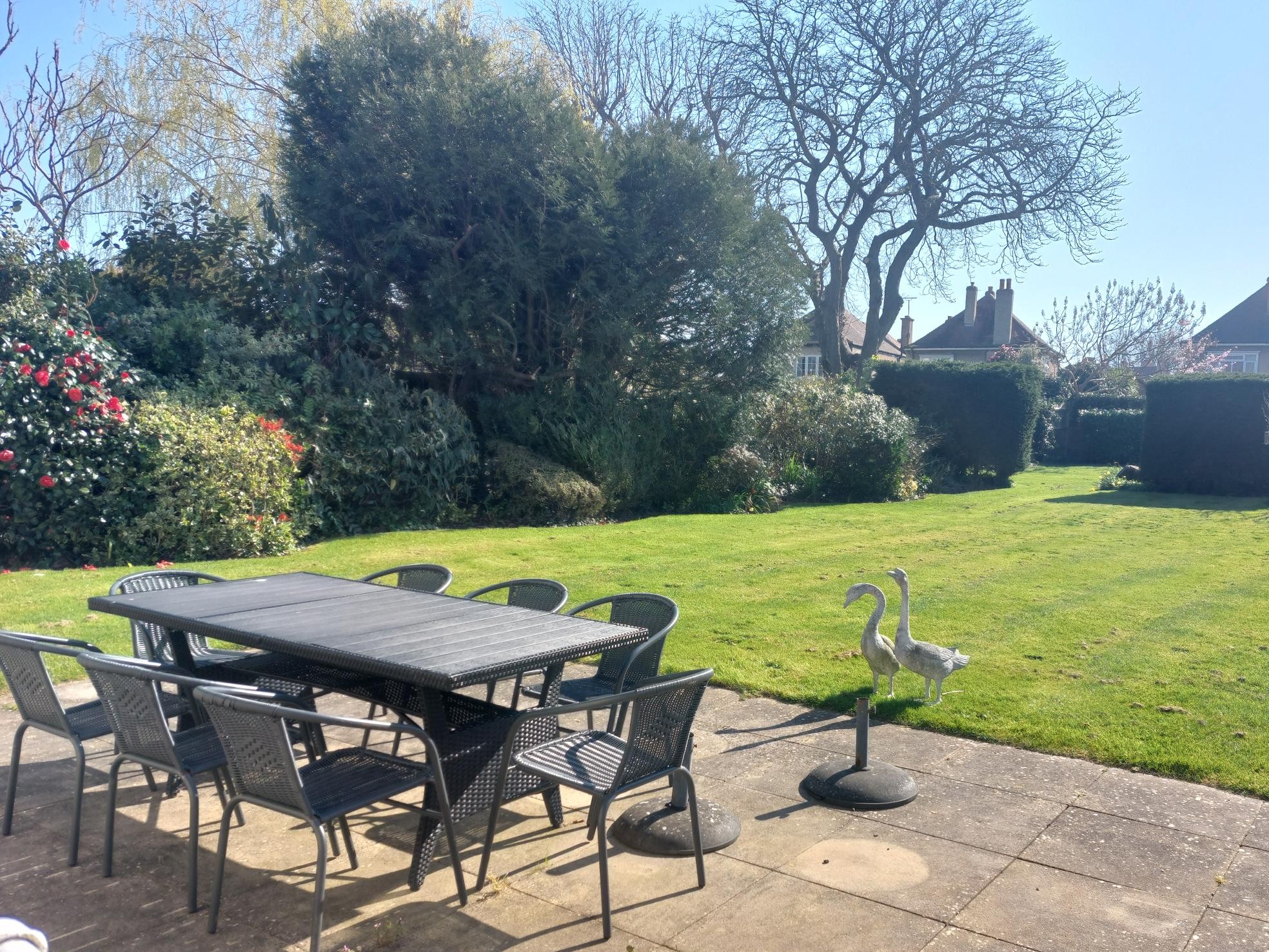 Tamar Garden March 3