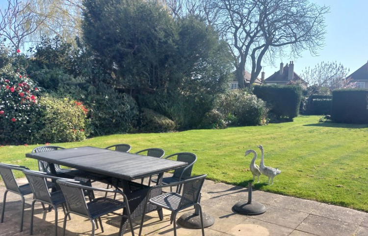 Tamar Garden March 3