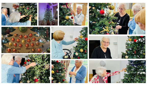 Esk Moors Lodge Residents Taking Part In The Festive Decoration Challenge