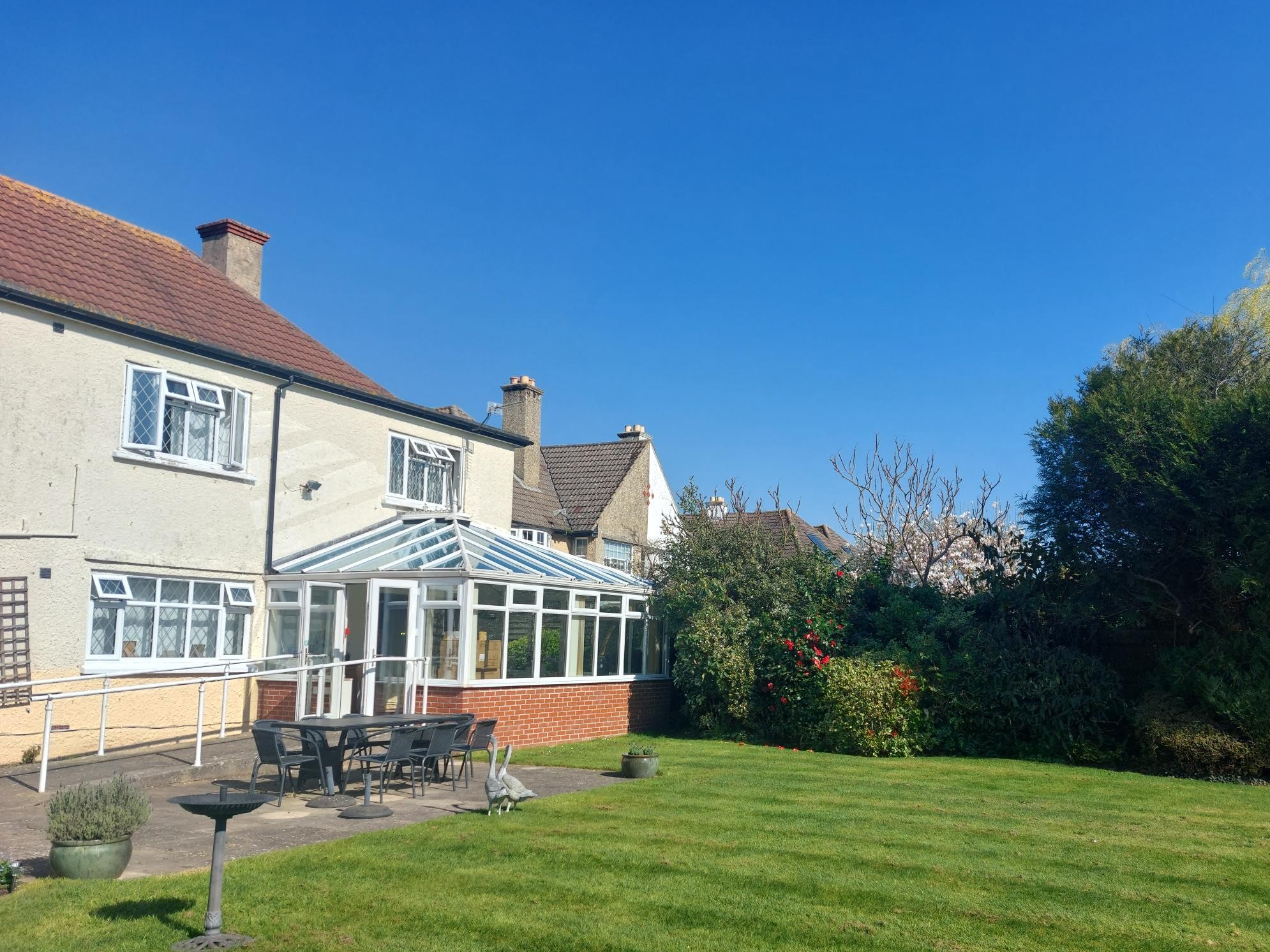 Tamar Garden March 5