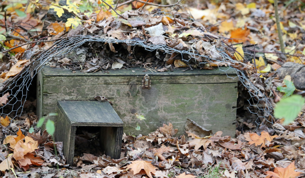 Hedgehog House
