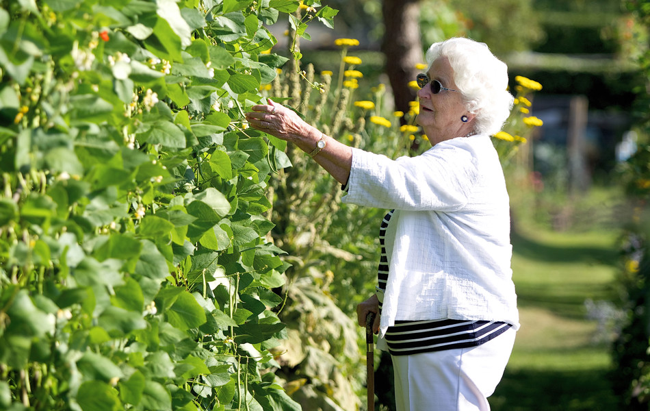 Green-fingered residents love tending to the garden