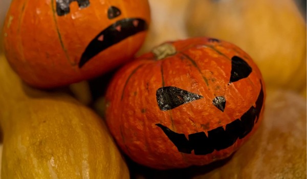 Speedwell Pumpkin Competition