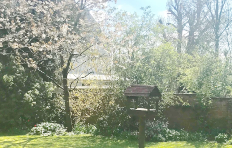 Garden of Abbeyfield House, Sherborne DT9 4HA