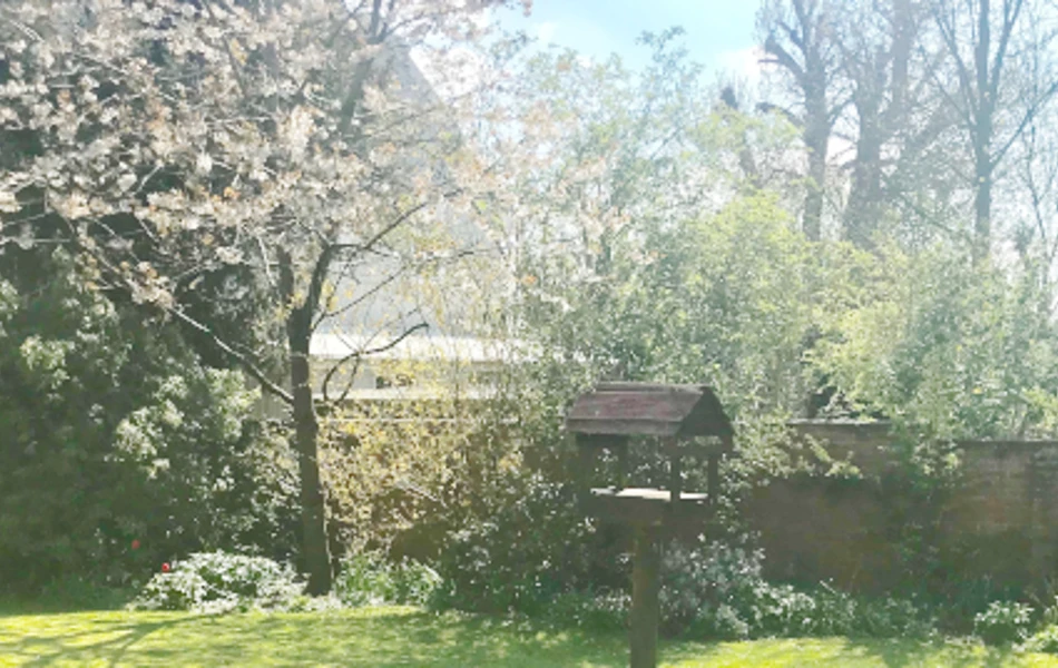 Garden of Abbeyfield House, Sherborne DT9 4HA